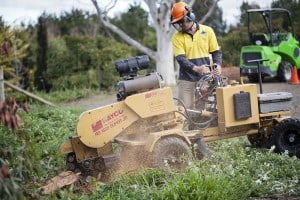 Stump grinding Yass