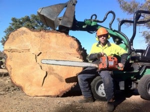 Whether you're looking to prune a tree, remove a stump, or plant new shrubs and trees, our experienced arborists will provide efficient and safe service.
