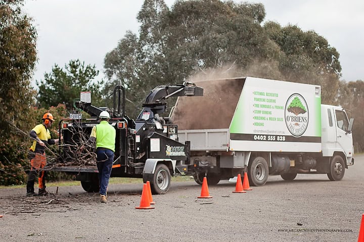 Get the professional look for your garden with our hedge trimming and pruning services. We quickly and carefully rejuvenate and maintain hedges of any shape or size,
