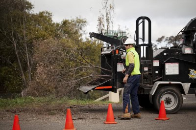 Obriens tree services offers professional, safe and cost effective tree removal, pruning and trimming services. We also offer stump grinding, tree cabling and bracing as well as emergency services. Contact us today to get a free quote.