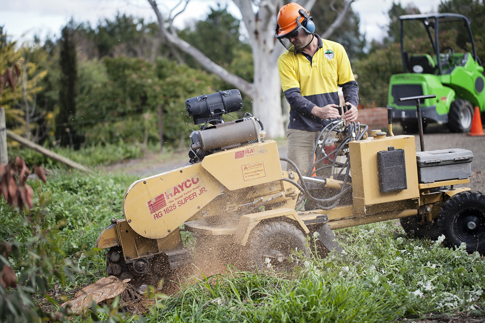 Stump grinding in Canberra
