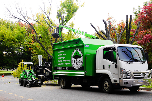 O'Brien Tree removal Services Truck