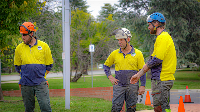 O'Briens Tree Services Tree removal team Canberra.