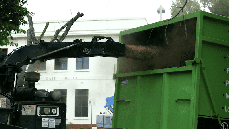 wood chipping - Tree Removal Canberra wood chipping services Canberra