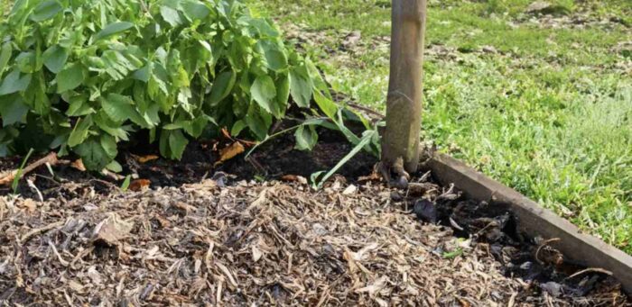 mulching service