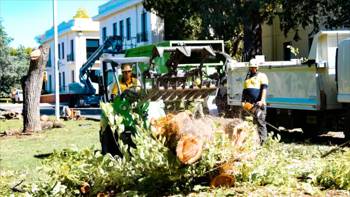 Wood Chipping machine