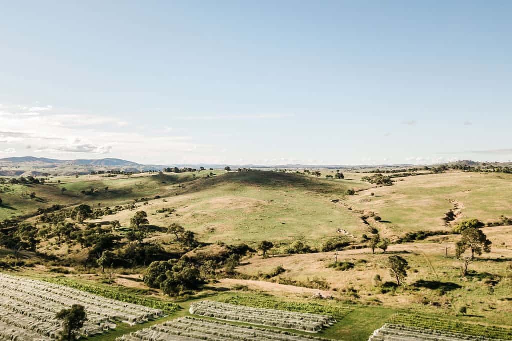 murrumbateman Tree removal