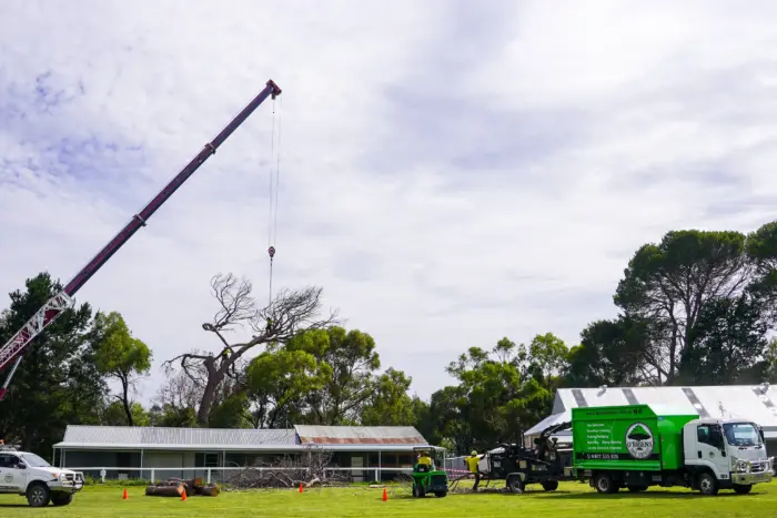 In Gunaroo, trust O'Brien Tree Services for impeccable tree removal solutions. Our skilled team ensures safe, prompt, and reliable tree removal, enhancing the beauty and safety of your property.