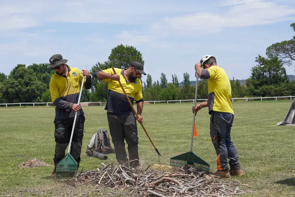 Tree removal Gundaroo clean up crew. O'Brien Tree Removal Services Canberra.