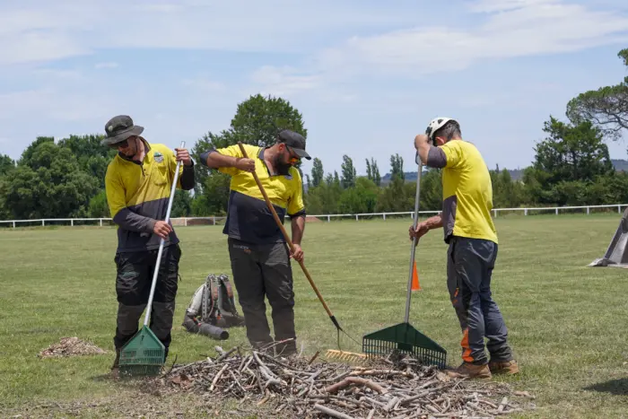 Tree removal Gundaroo clean up crew. O'Brien Tree Removal Services Canberra. 