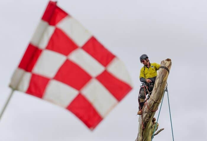 Tree Removal Yass Golf Course 2