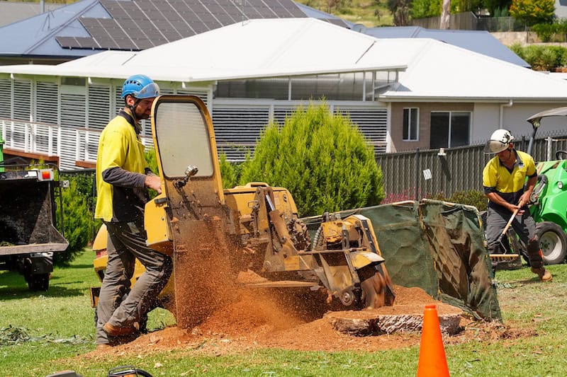 Stump Grinding Canberra: Why we are your best choice in ACT