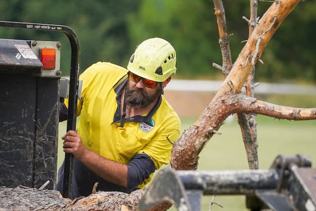 Tree mulching - Tree Removal Canberra Tree mulching Canberra