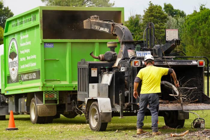 Canberra Tree removal truck - Tree Removal Canberra Canberra Tree removal team truck and grinder
