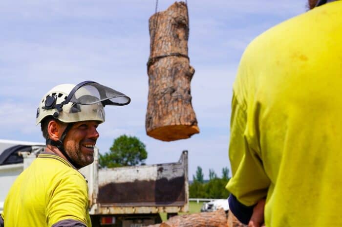 Affordable tree removal Canberra