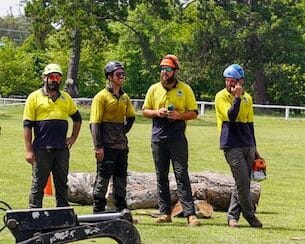 Canberra tree removal team in action