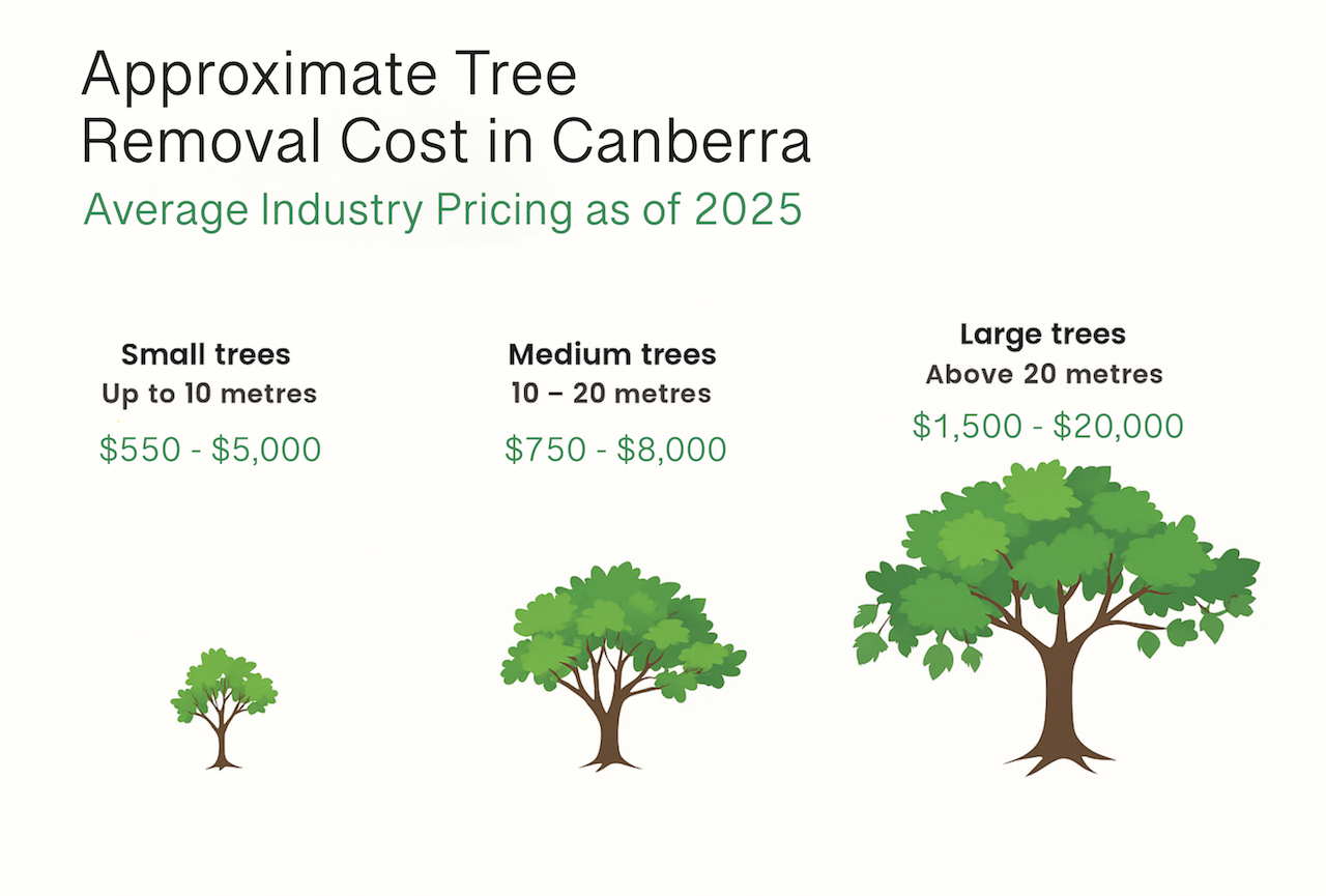 Cost of tree removal in Canberra ACT