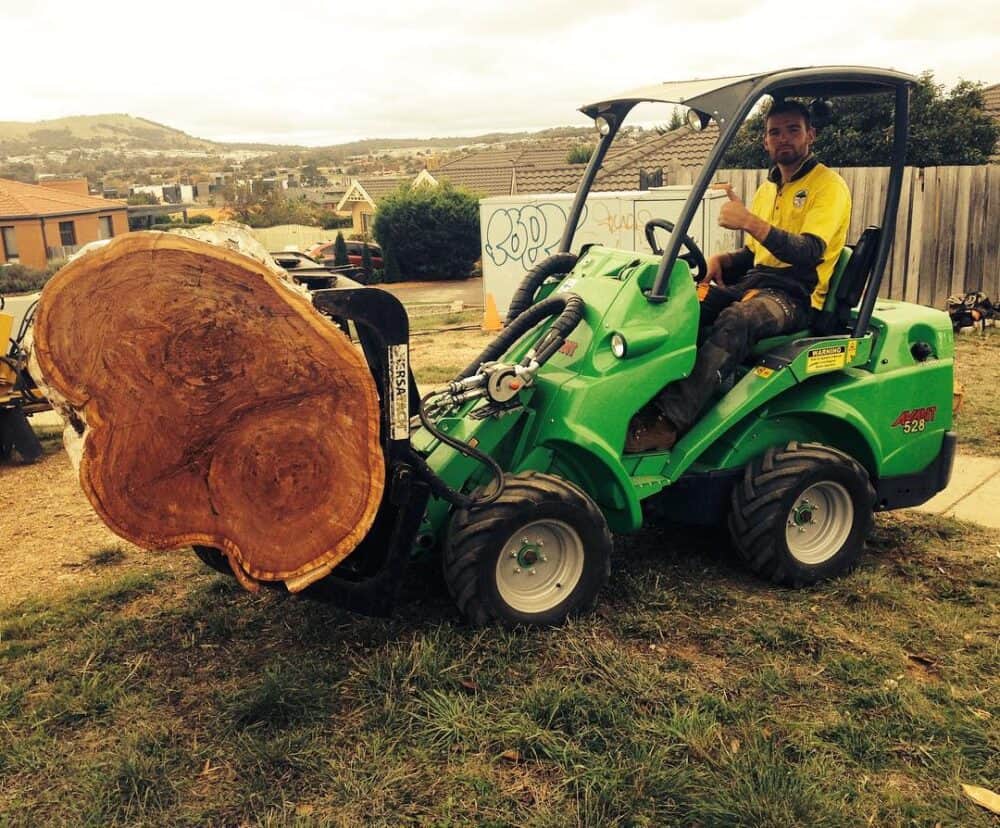 Tree Removal in Gungahlin