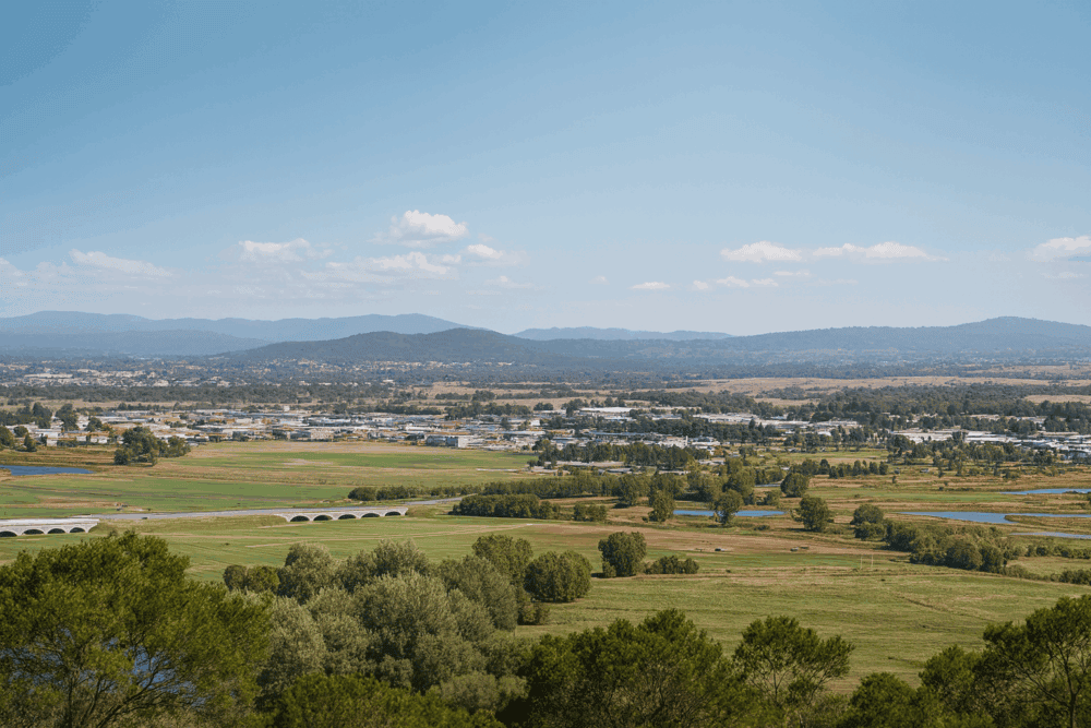 Fyshwick Tree Services