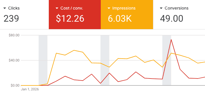 Wollongong Google Ads Agency - Tree Removal Canberra